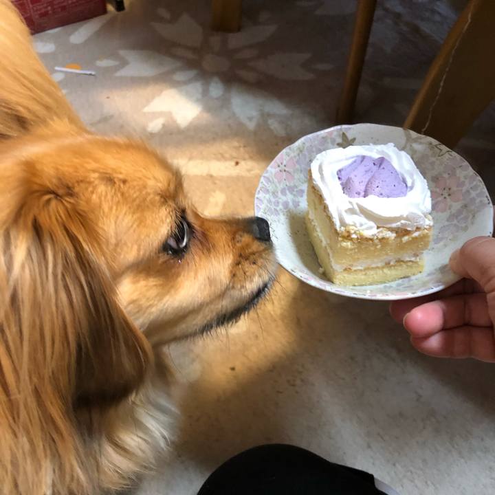 77b845da 35db 4553 9654 68ada29825be 1557267028065