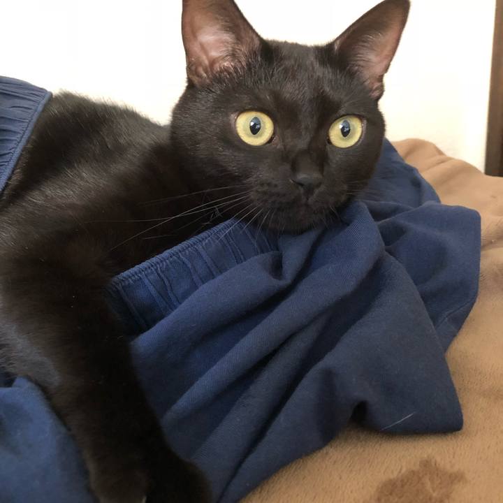 77b88787 5dc4 402a 9561 0b4cc83d4f68 1540104807645