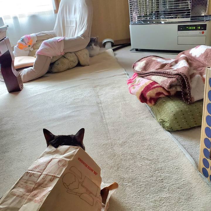 77b8ce09 5c68 46f9 8ee4 144b5f5c7677 1698591068374