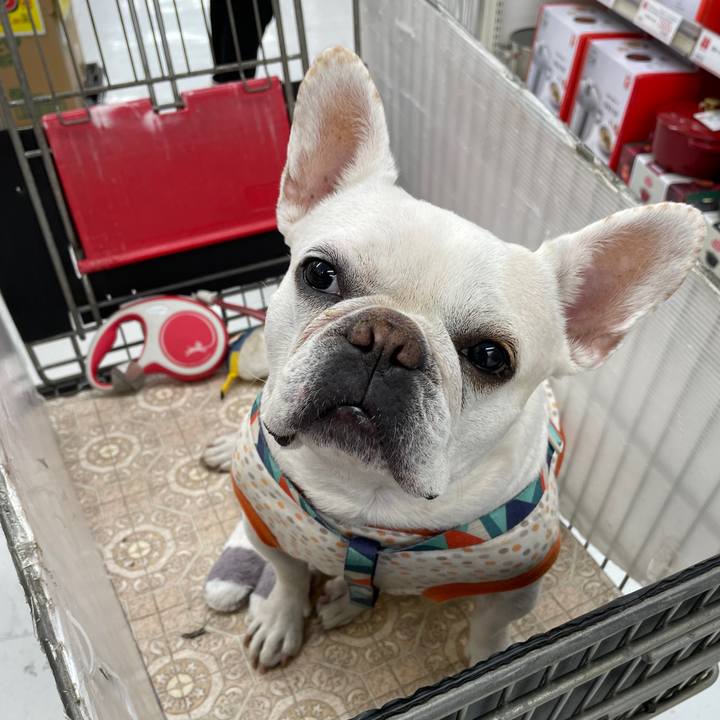 77b8eea7 16e9 4d50 b2f9 b6ab4700f406 1747524900031