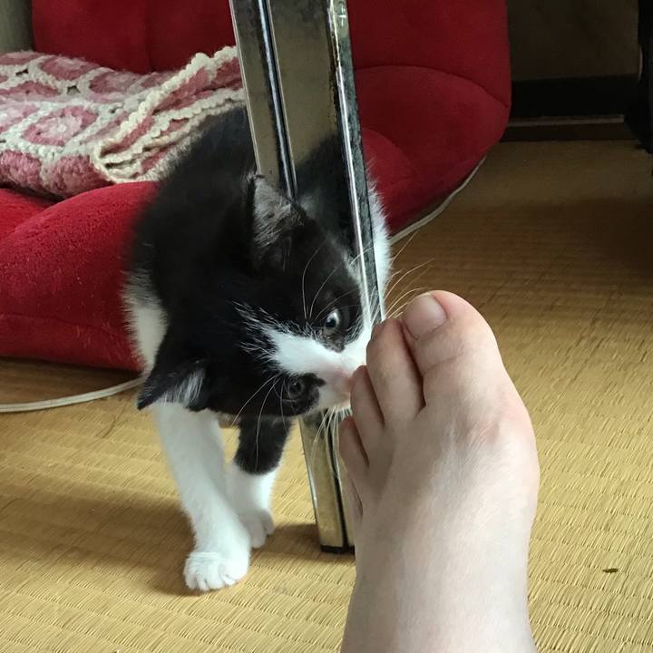 77b8f51c d1c9 4f52 9a1a 4137190e61fe 1623900701020