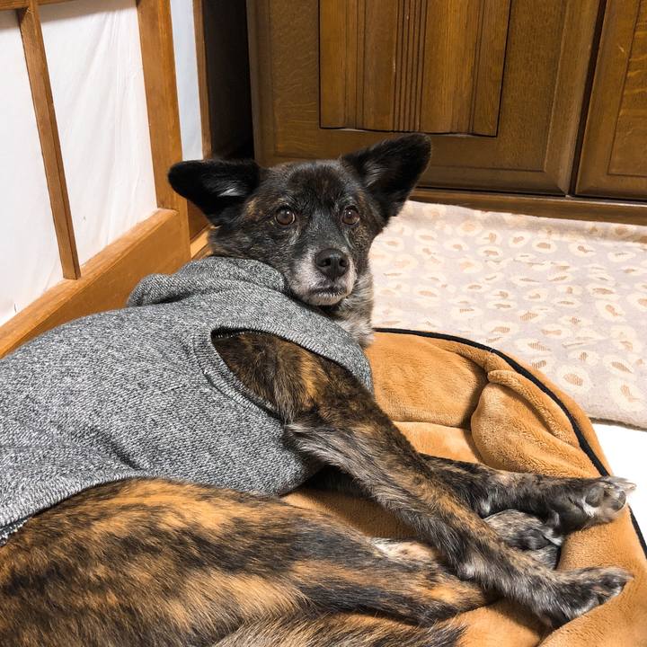 77b8fac1 6a84 4503 963b 8d482e0e2b9b 1576149814435