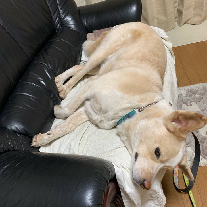 77b93e3e deb0 45ce bde6 412bf615db79 1556377728354