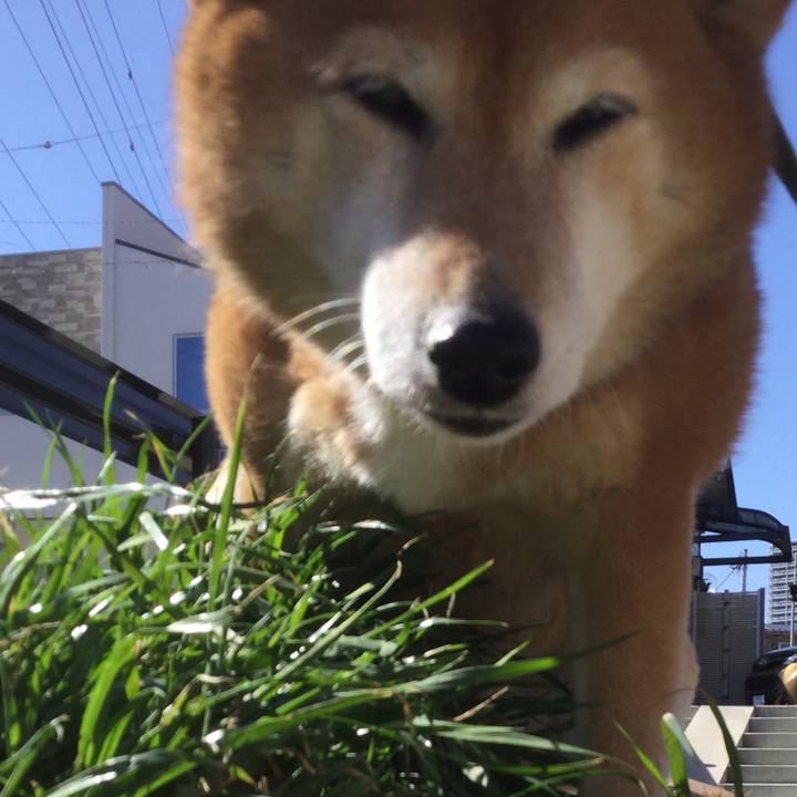 77ba1c5d 956d 429e 82ad 5d55b4c82b16 1614048087595