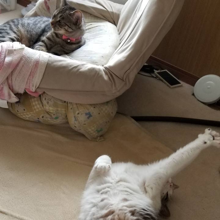 77ba385a 72ed 4907 bc9d 7154aa493e11 1685567195100