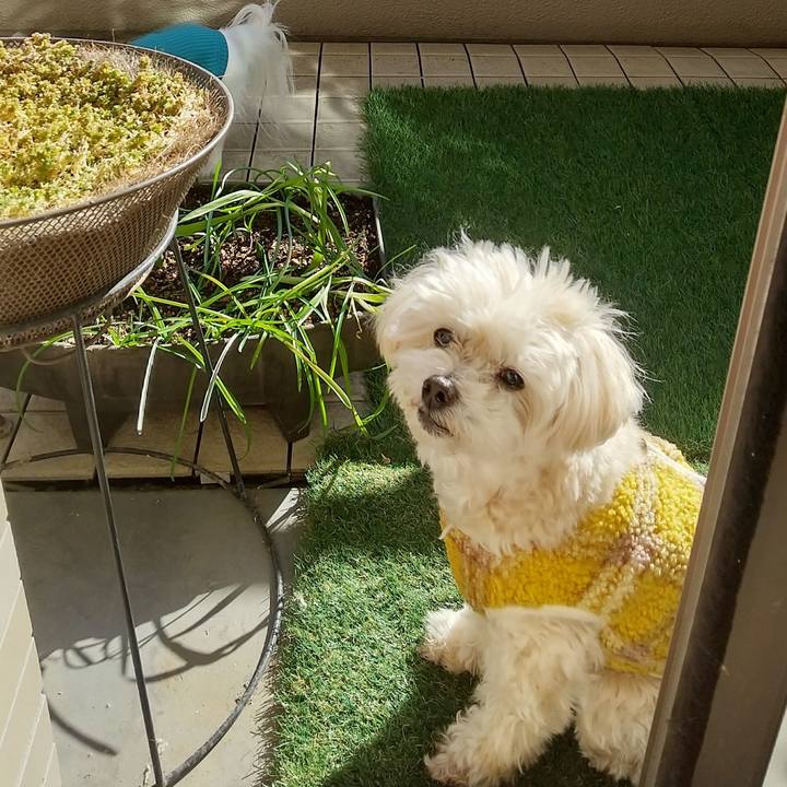 77ba5831 ce1e 4f23 9b04 e9497956cee1 1644557572129