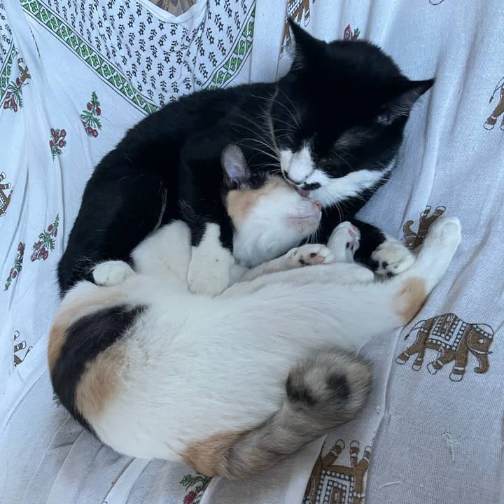 77ba7258 f2cc 4cea aae4 bca8d41eaa8a 1693899932383