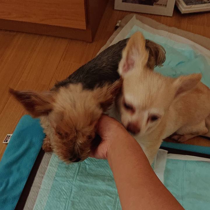 77baa6cc 2aae 43df 8fbc 64e014ac05b8 1564641156491