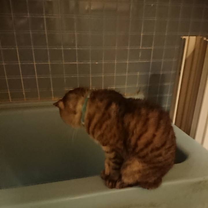 77baac01 9a07 4819 aa32 158916f8211c 1570527142394