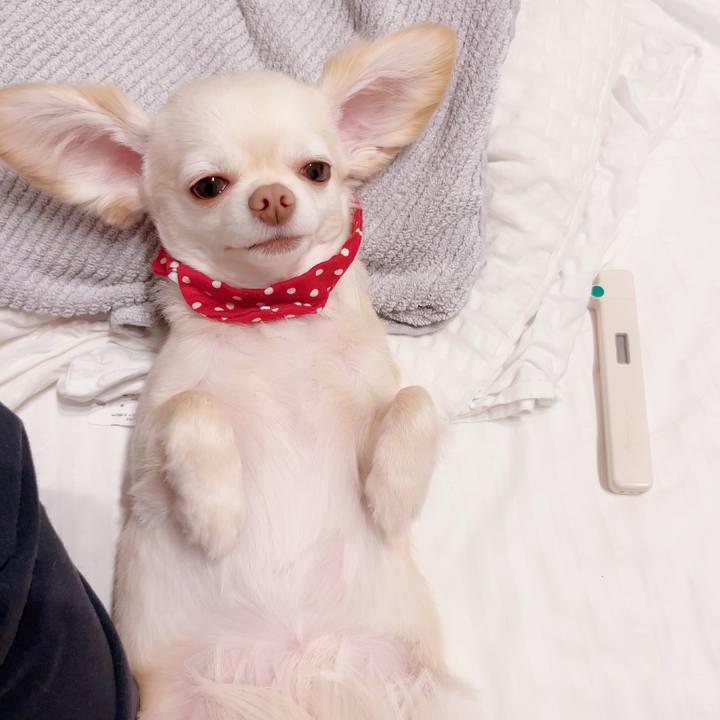 77baf40f 31b9 4b70 81e0 ea0e6863cc1d 1685529912841