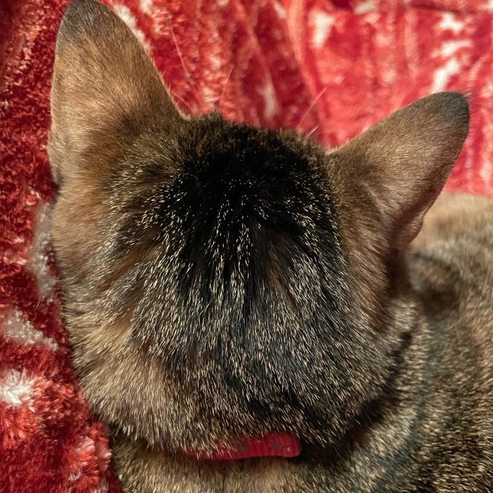 77bb3284 80fe 4494 8e1a 8ab7c34d08b5 1638787581039