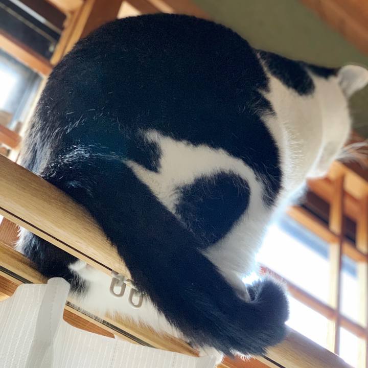 77bb5933 f9a3 457f b20d 7c3cd6332e6e 1549860878678