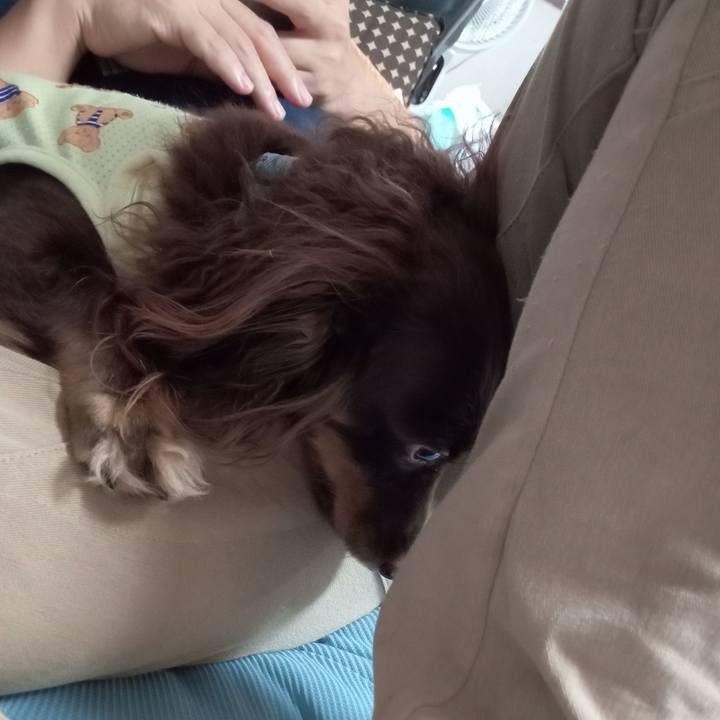 77bb81be 1a62 4c10 b1af cd29d4edeae3 1759616156993