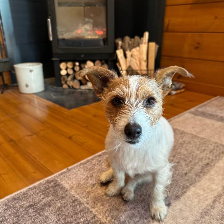 77bbe74d 59a6 4e04 b90f d8f060e9394e 1771116685972