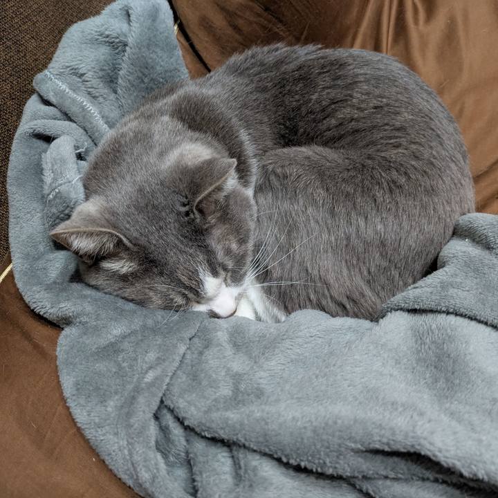 77bbf69a 4baa 4afe beb2 d7acb39d8b1d 1738935632892