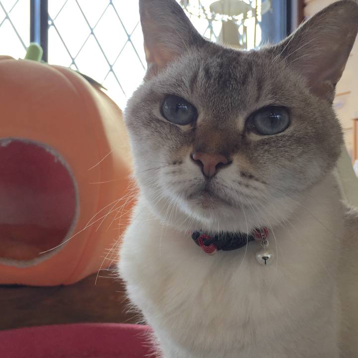 77bc487b 8a7a 48c6 bfd9 840052d394f1 1535870174374