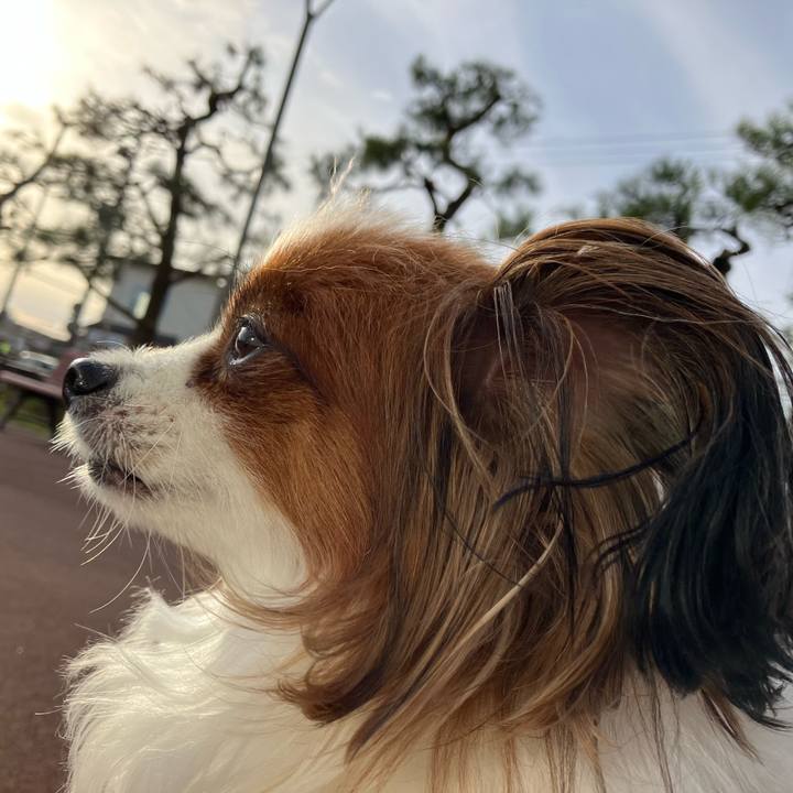 77bc65df 3b0d 4a2b 99a0 6f50de8668fb 1762649317614