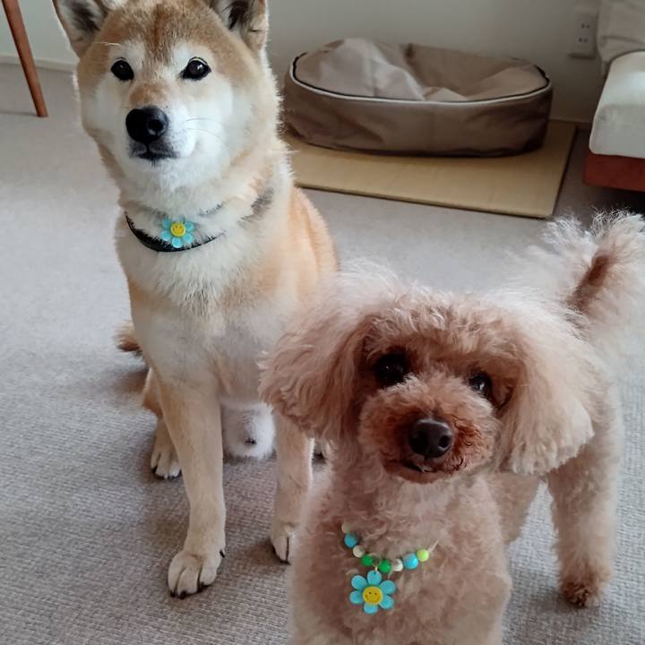 77bca856 c6d8 462f be49 7472ea02f056 1622336619212