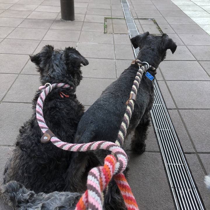 77bcd722 9d12 48e7 a8e8 7d9f80dabccb 1554009146327