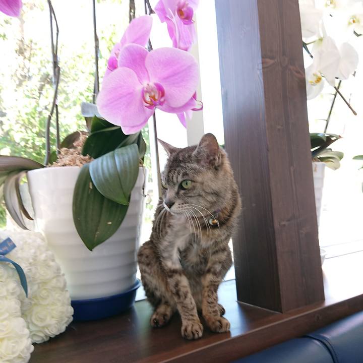 77bce8f8 690d 4ce3 a3a5 389e91a774c1 1592640198961