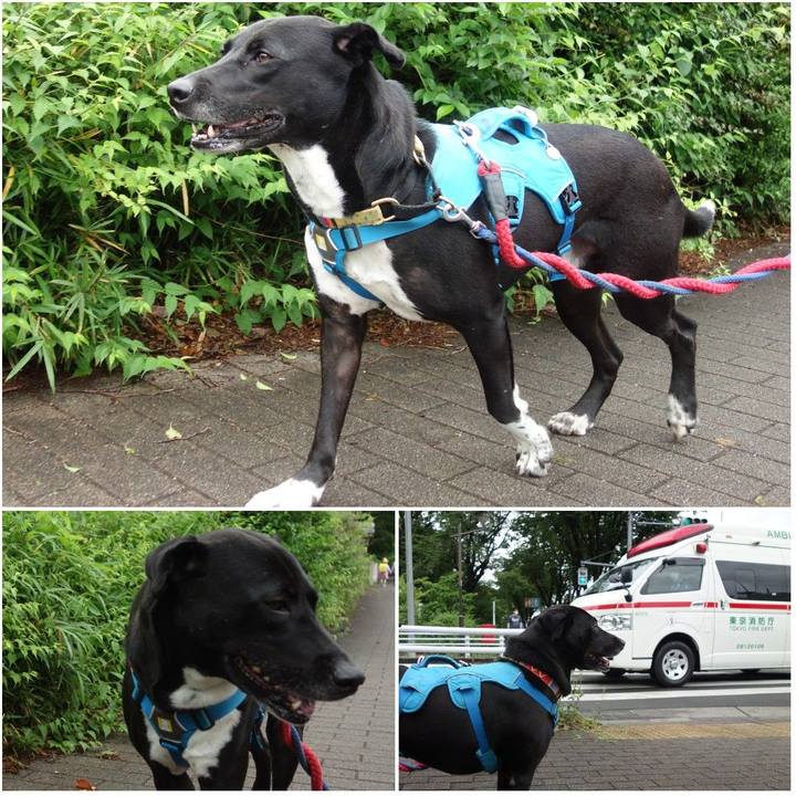 77bcf994 b277 4154 b22e ec41d9382af7 1621557348896