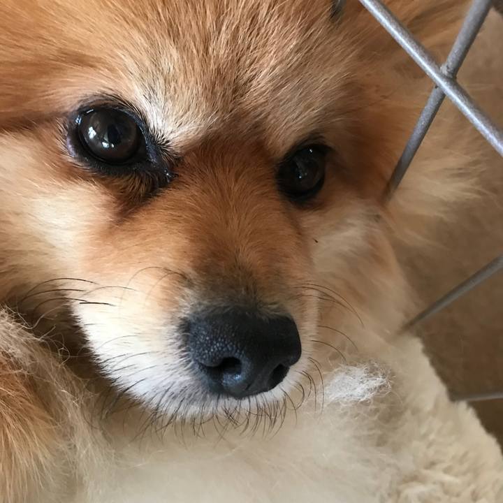 77bd06f6 458d 4351 b068 9e09a7e2a8a3 1540952976448