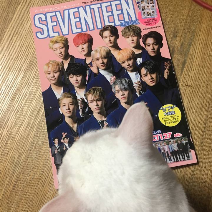 77bd1357 b5d1 4088 a6fe a6d8d973578b 1535032256089