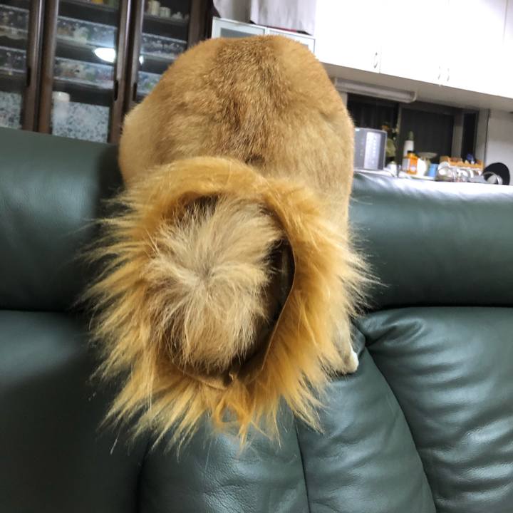 77bd6284 ceb4 4fc7 800d 00a7a62c147f 1579862776300