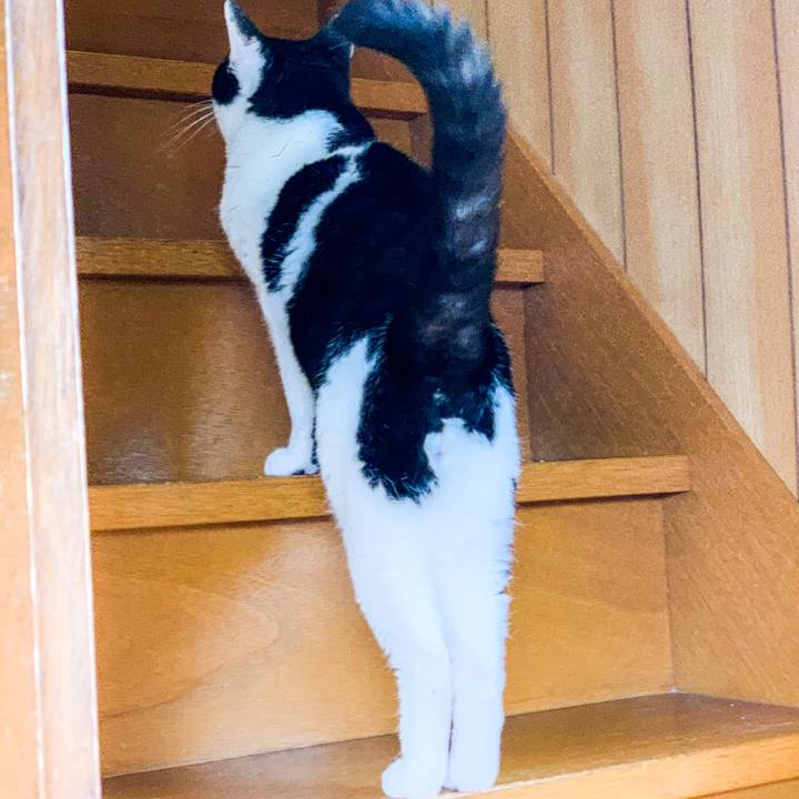 77bd6d8e ac10 4229 8357 a5ed8796fe8e 1590975243213