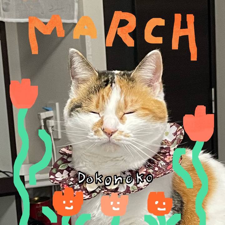 77bd81a5 22b9 4945 90f3 ec7d38b19ae8 1741131300345