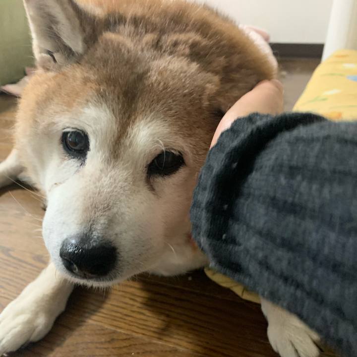 77bdafa2 c48e 4847 930d 793a328acb92 1608851172072