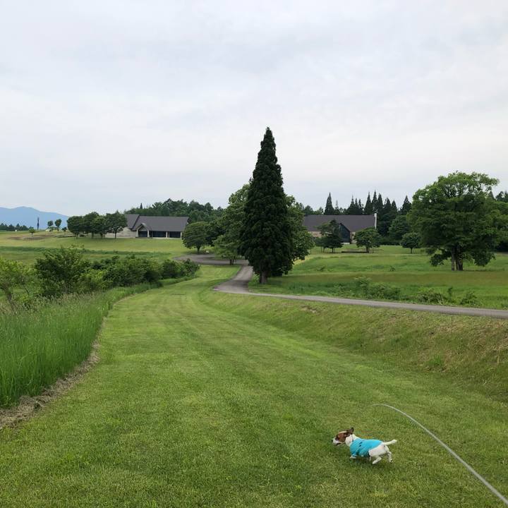 77bdbb81 32f5 4097 a166 902f599bd9af 1560505333906