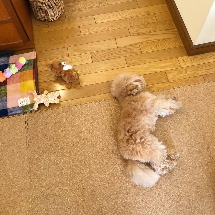 77bdbb83 4921 4641 a568 b2afbbb95035 1525051640535