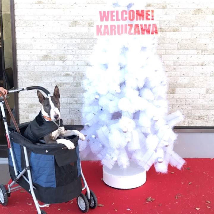 77bdc558 2345 4fdf bb0a 6cbf2fe0030f 1510817652115