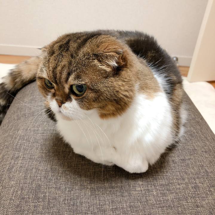 77bdc5c2 d23e 4312 9806 0d7e1e6755b1 1597542016716