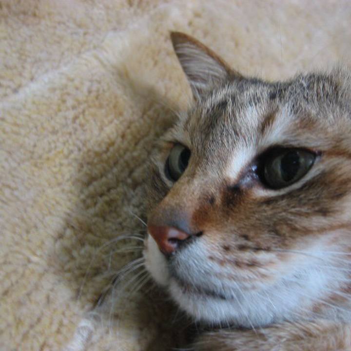 77be1a71 ec19 4112 8828 1b90d4fe236f 1534076267611