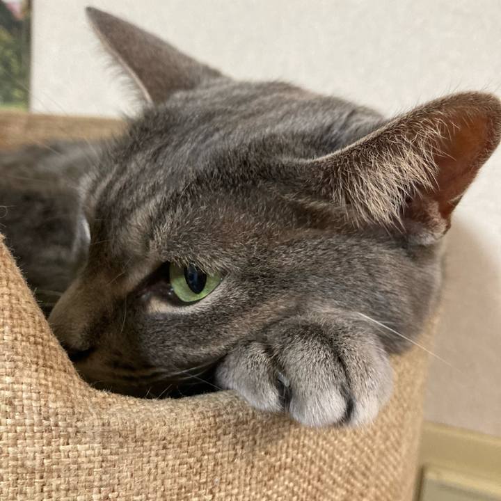 77be37a9 febd 40d0 8a01 2c87336b6a5b 1658914884587