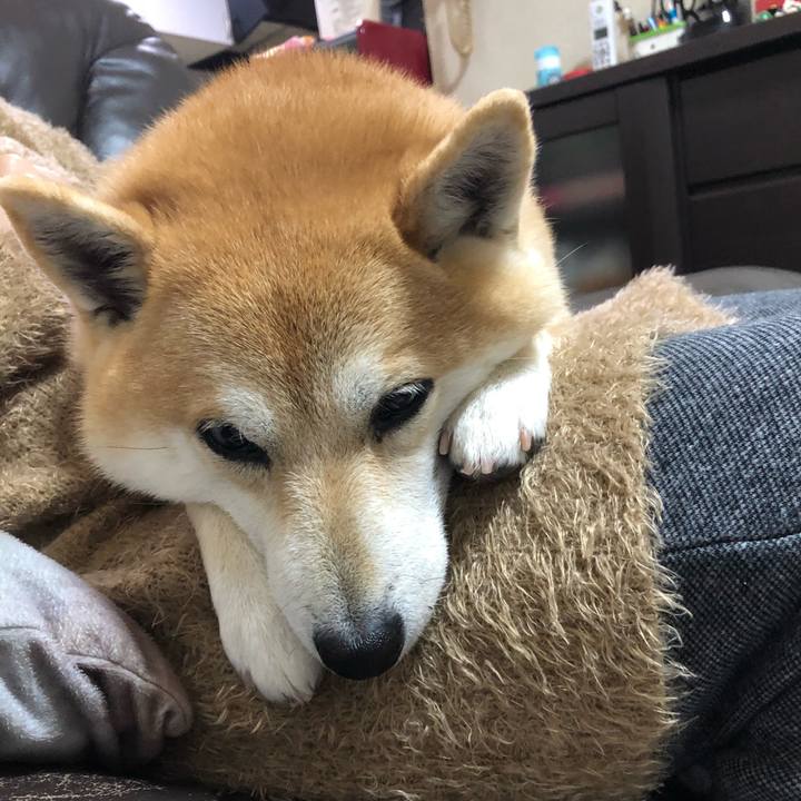 77be3b10 62e7 4887 abd5 3fa835adca44 1549962575008