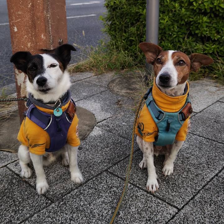 77be3f6c 4621 4ffb 9bfc 1c77a633f772 1728773068109