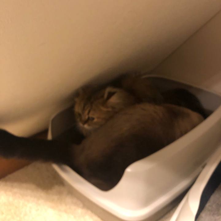 77be44fe fc82 46a7 ae2f 4f5505404788 1630926115783