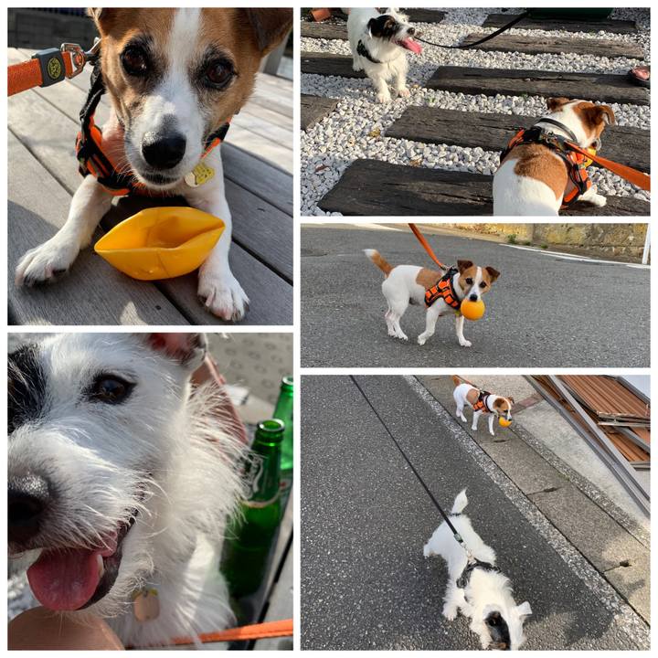 77be5425 e496 4396 9db8 fa7a2dbac5fc 1568016910472