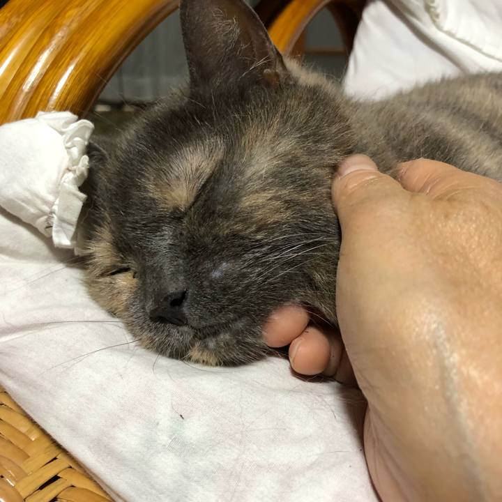 77be644f 7b7f 47ee 8a93 dd822e92abaf 1561806411327