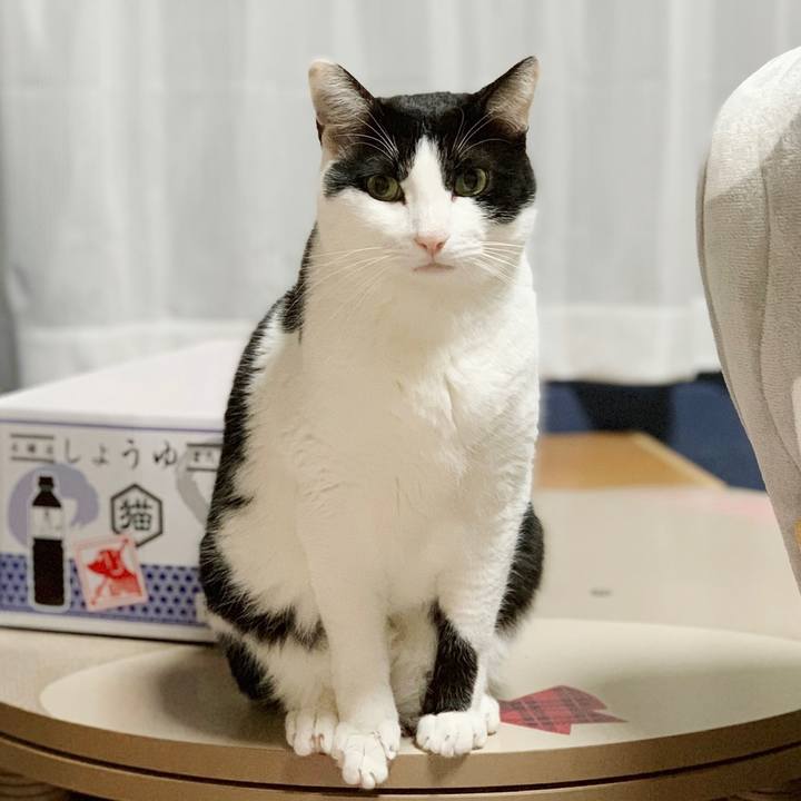 77be759d d622 45b9 91c0 593b17516738 1552009692593