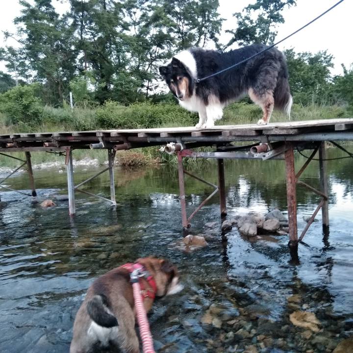 77bedb80 f1ea 4808 8808 963b411326e5 1559310357572