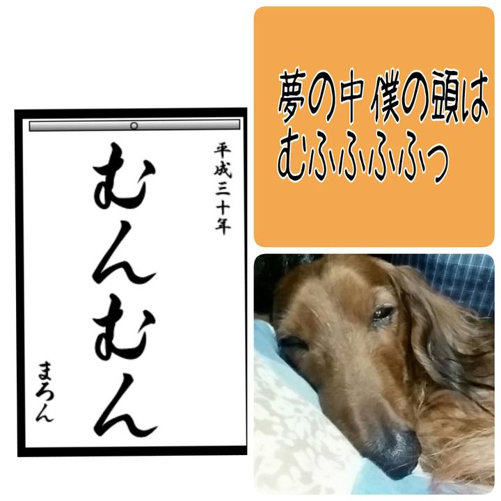 77bf0ee6 356f 453a ae92 a37f7aebacf7 1515295622591