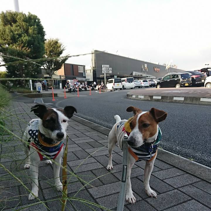 77bf2e3c 0ebe 4cb1 840a 69f166a2c3a9 1537772029902