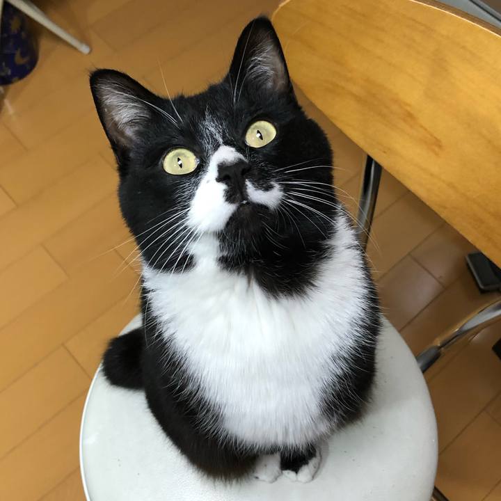 77bf3c9f 15fd 41aa ab7a 6649de08eb73 1584503157259