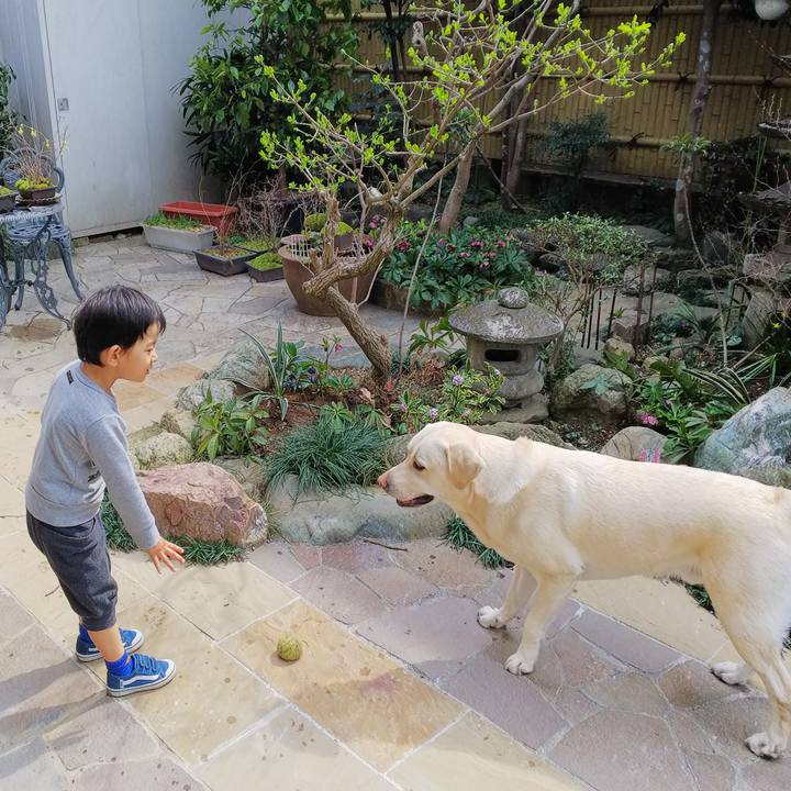 77bf4670 4c0f 4322 a4fa 3fc00855b7dc 1552711568954