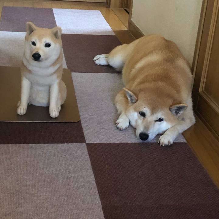 77bf5f13 30ca 4531 8a14 26f144f65f91 1558788273717