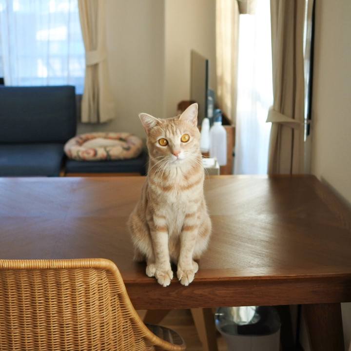 77bf6943 d436 4147 b561 ec1c3083302a 1581320561414